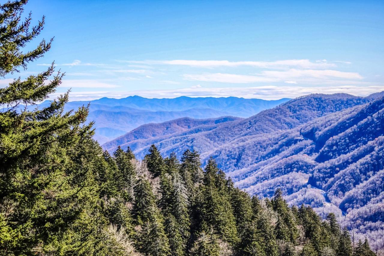 Sweet Surrender Βίλα Pigeon Forge Εξωτερικό φωτογραφία